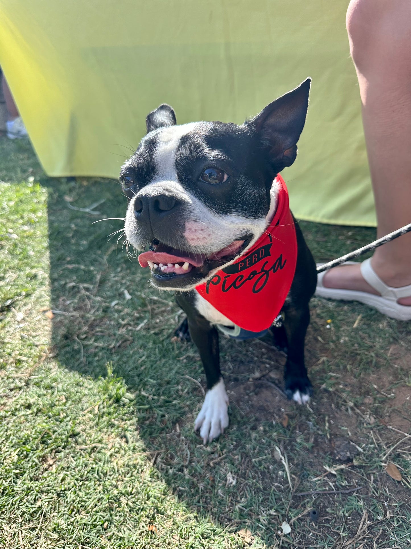 Chiquita pero picosa Bandana