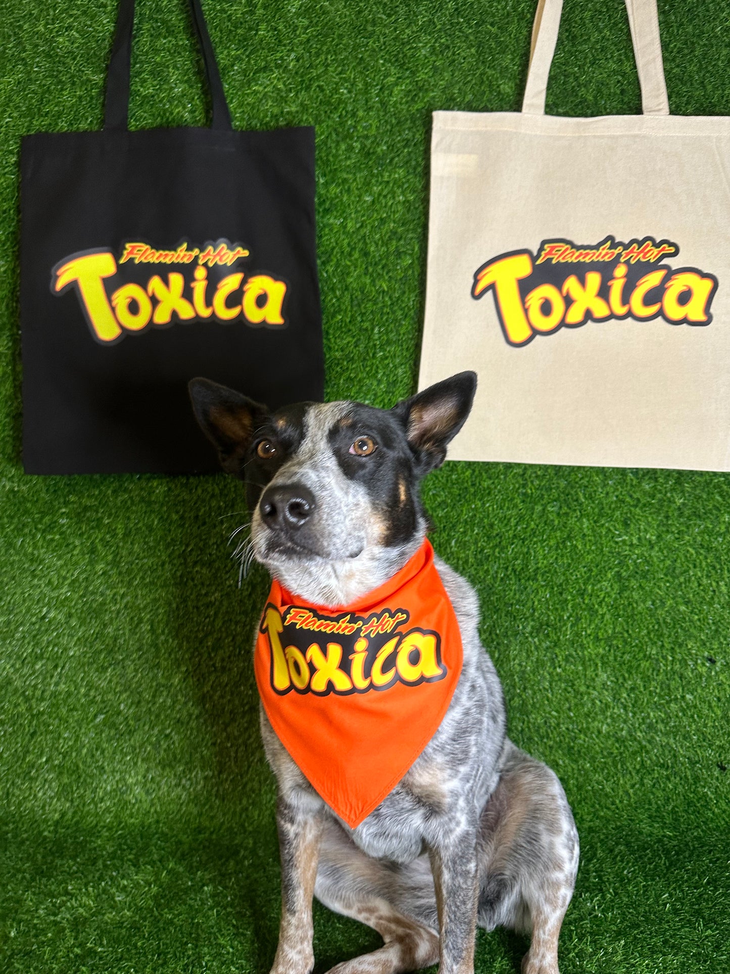 Flaming hot toxica tote bag