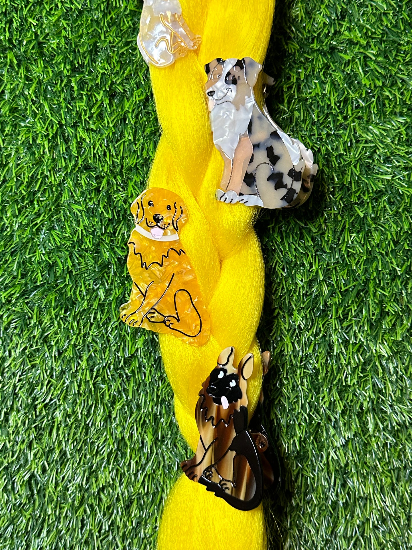 Dog Breeds Hair Claws