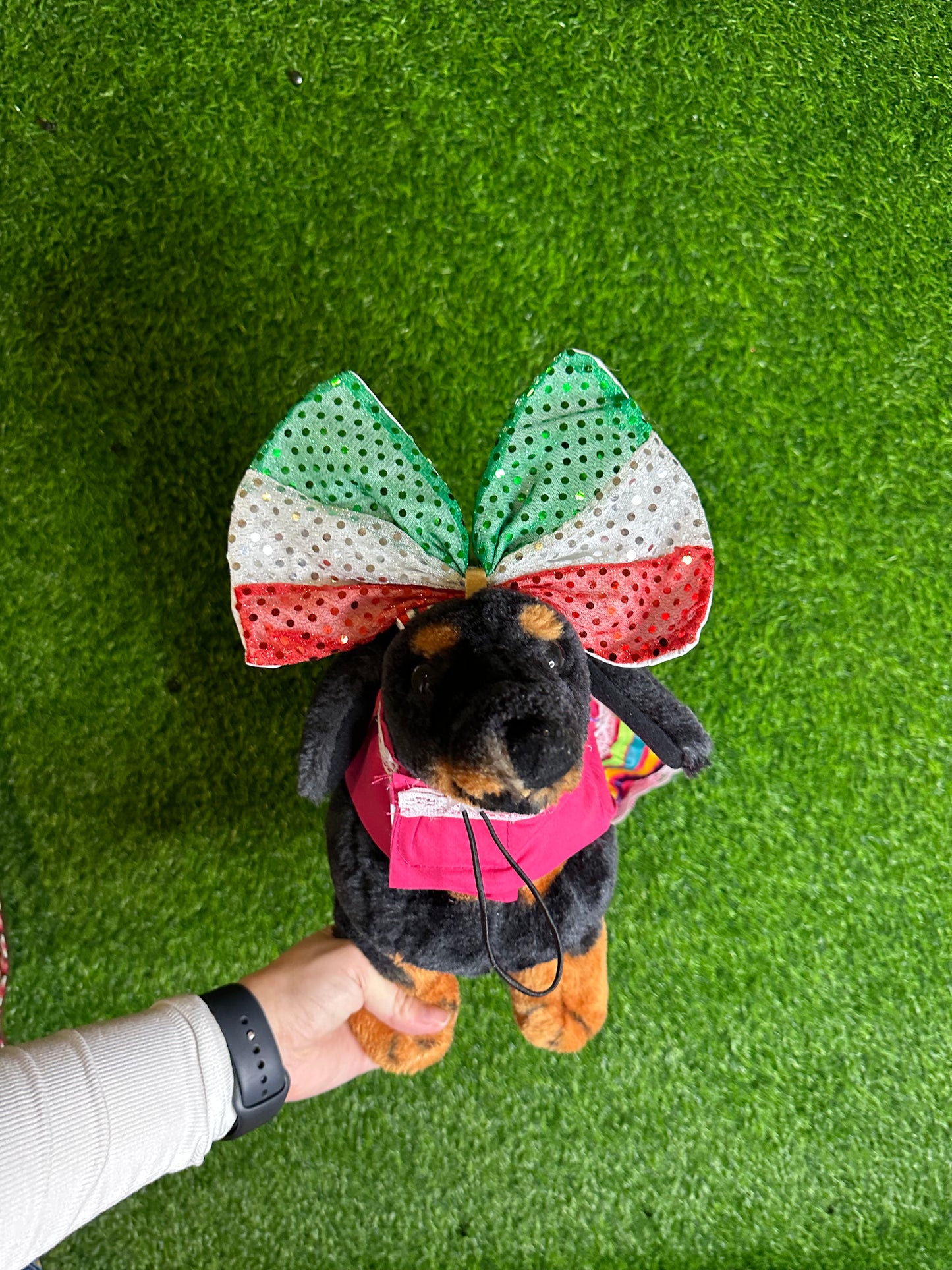 Mexican Bow Pet Headband