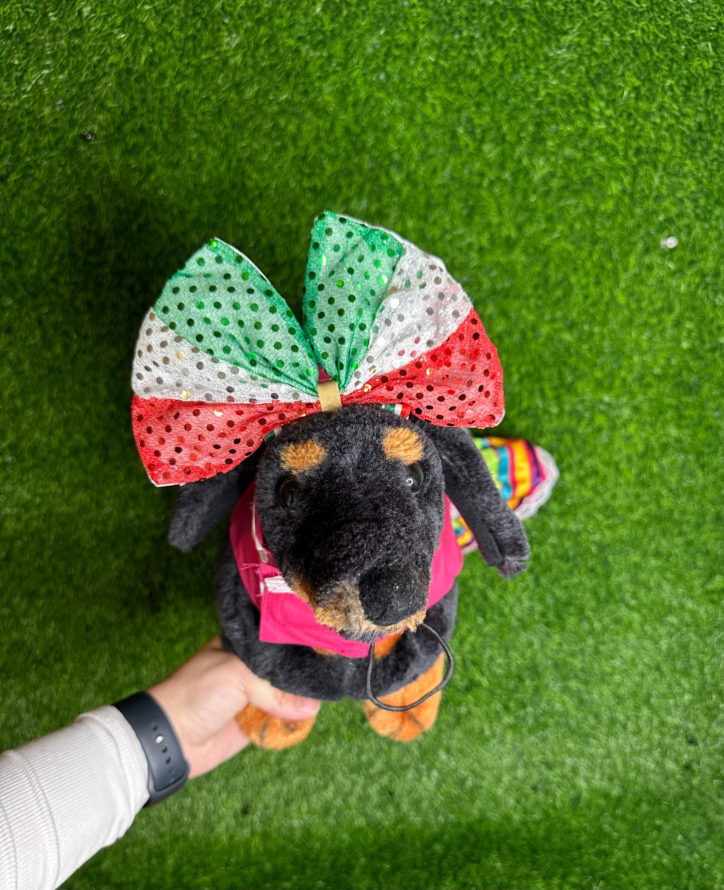 Mexican Bow Pet Headband