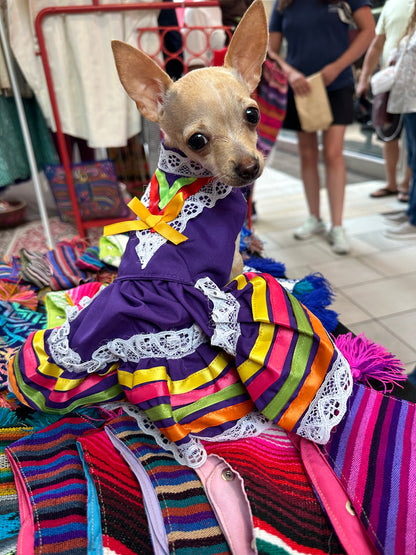 Folklorico Dress XS-M