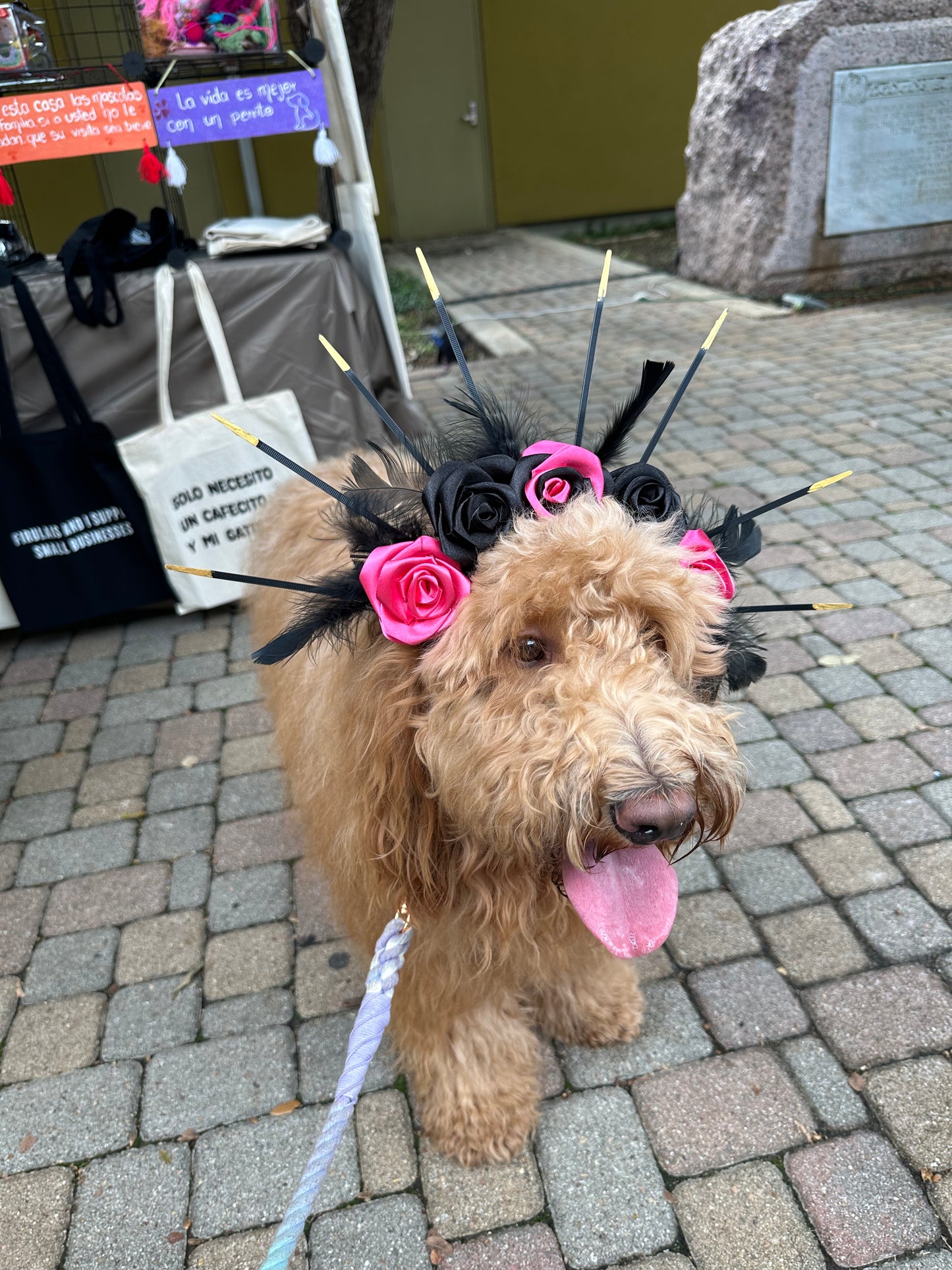 DDLM Pet Flower Crown