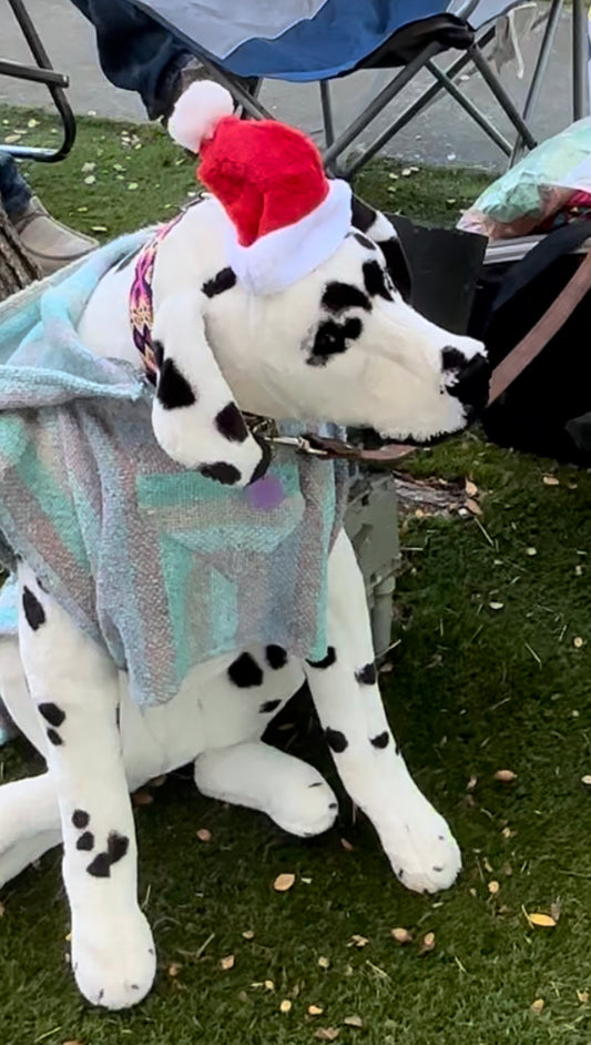 Santa pet hat