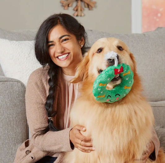 Christmas Wreath Dog Toy