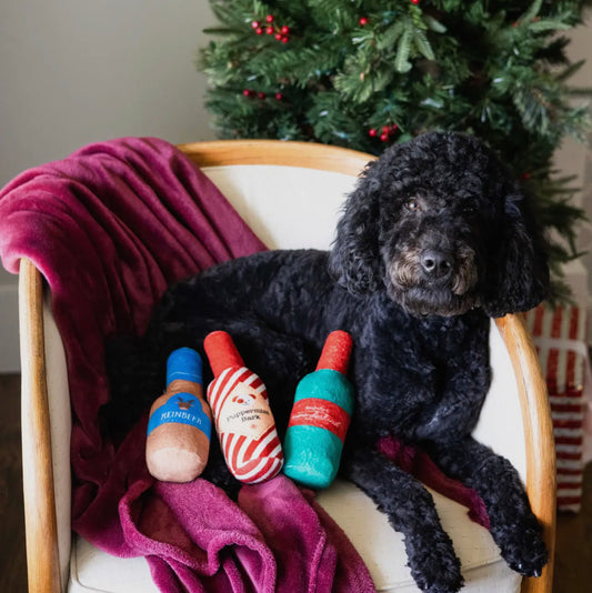 Howliday Drinks Dog Toys